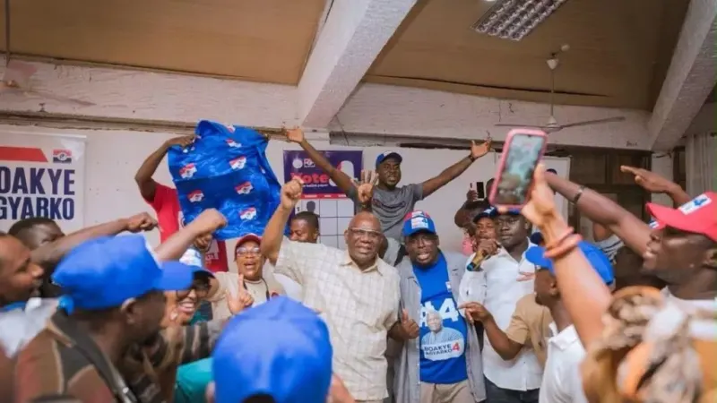 NPP does not need a new chairman: It needs a brand architect — photograph supplied by MyJoyOnline