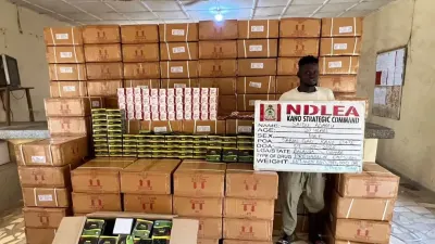 NDLEA seizes tonnes of cannabis, other drugs in seven states — Premium Times