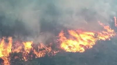 Central Colombia forest fire threatens tourist town of Villa de Leyva — Al Jazeera