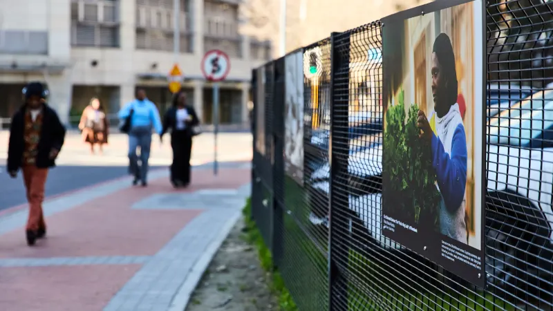 Alpha Street Gallery turns busy Cape Town route into open-air art space — photograph supplied by Cape {town} Etc