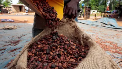 New cocoa producer price looms as COCOBOD seeks funding for 2026/27 season — MyJoyOnline