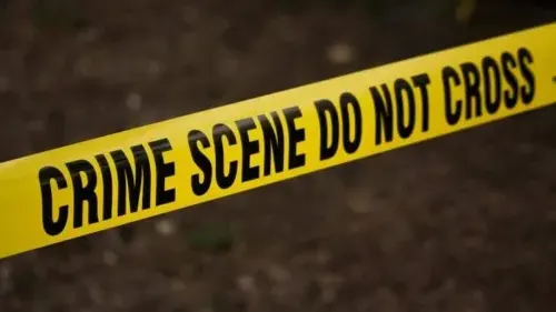 Mob attack kills man linked to alleged murder of 77-year-old Limpopo woman — photograph supplied by IOL