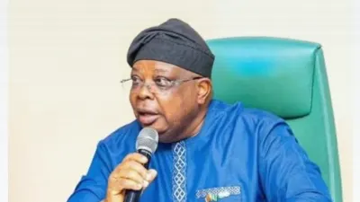 Nigeria Rules Out Electricity Tariff Hike, Says Power Minister — ZAlebs