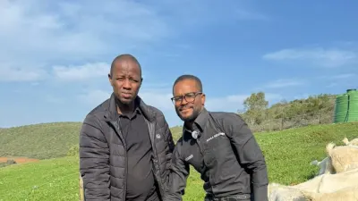 Eastern Cape innovation offers defence against livestock theft — HeraldLIVE