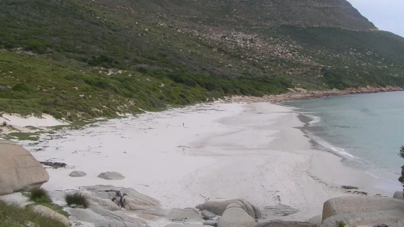 Bottom line: Sandy Bay nudists told to cover up — photograph supplied by The South African
