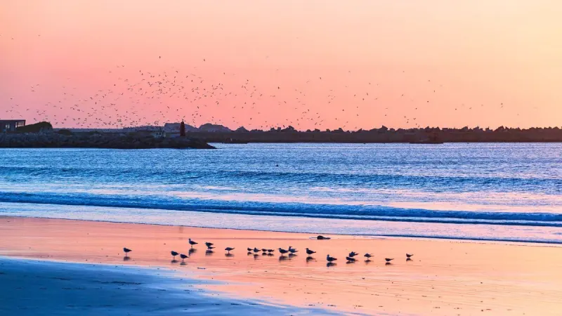This 200-year-old town is the last on the West Coast with property below R650 000 — photograph supplied by The South African