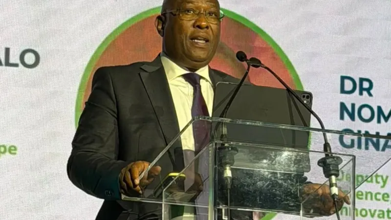 Green hydrogen project at heart of ambitious Eastern Cape investment plan — photograph supplied by HeraldLIVE