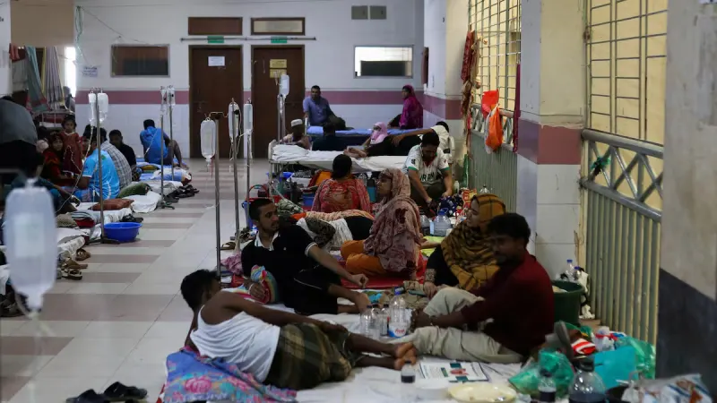 Bangladesh warns dengue outbreak could worsen after deadly September — photograph supplied by SowetanLIVE