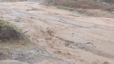 ‘God has remembered us’: Gomba celebrates lifeline rain after five-month dry spell — Nile Post