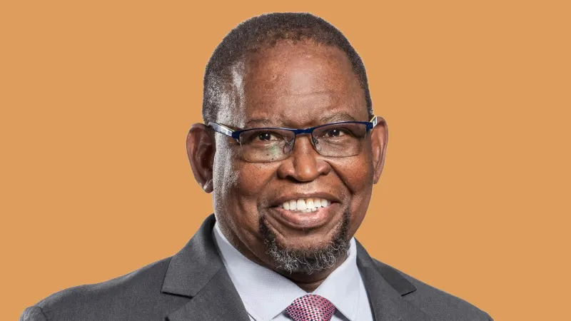 Godongwana tears into his own government’s ICT policy drift — photograph supplied by TechCentral