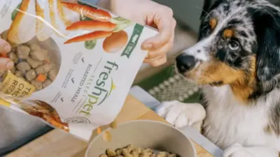 Armistice Capital’s consumer holdings include Freshpet, which is outgrowing a flat dog-food market — The South African