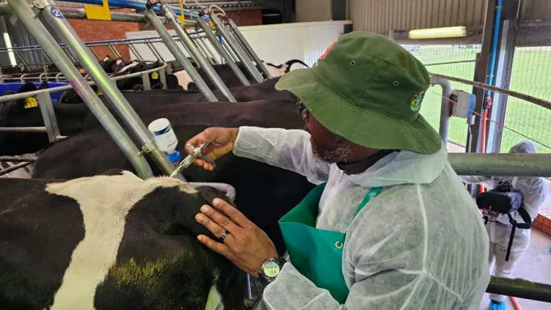 Private institutions to be approached to produce FMD vaccine: Aucamp — photograph supplied by SABC News
